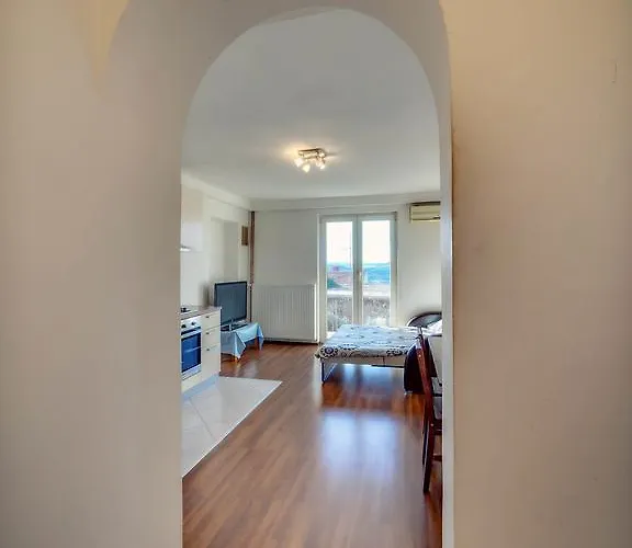 Danijela 시베니크