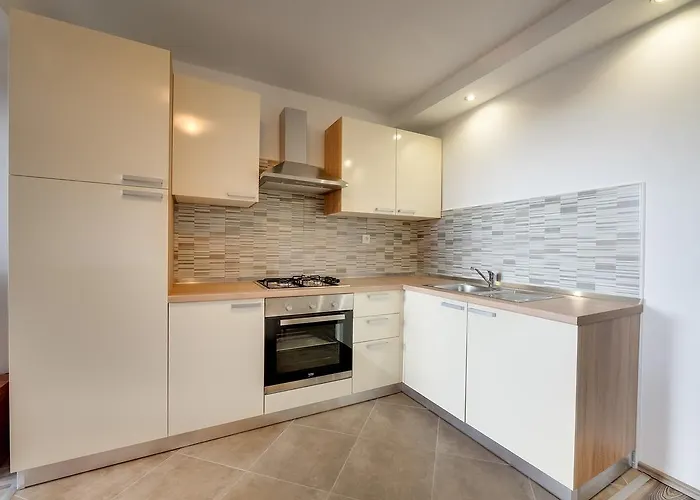 Danijela 시베니크