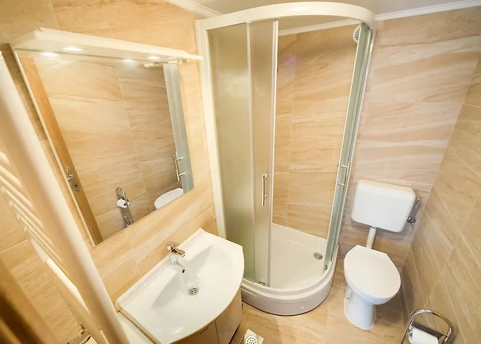 Danijela 시베니크